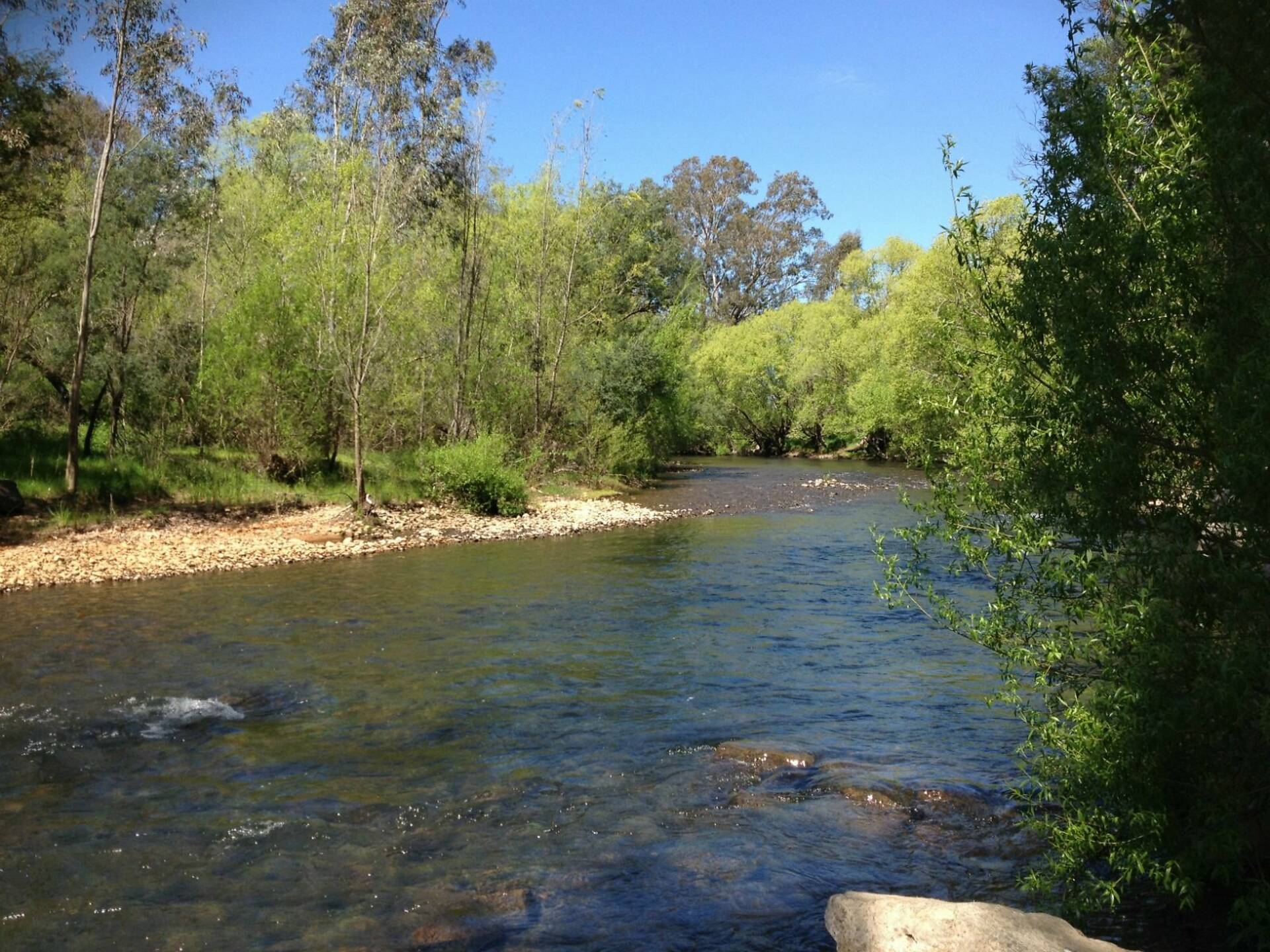 The Best Free Campsites Near Melbourne