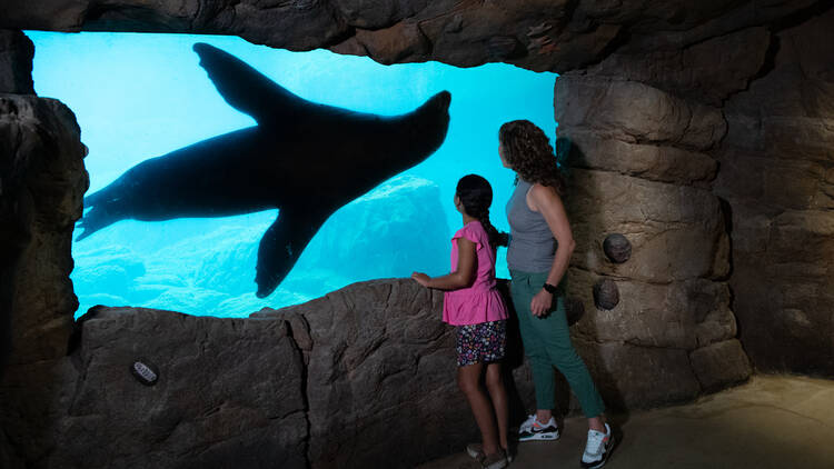 The full New York Aquarium