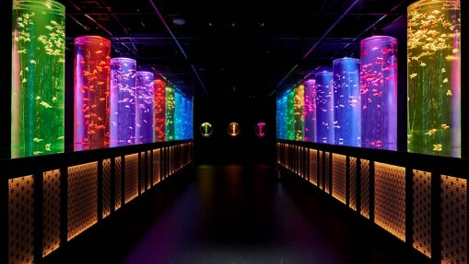 Art Aquarium Museum Attractions In Ginza Tokyo