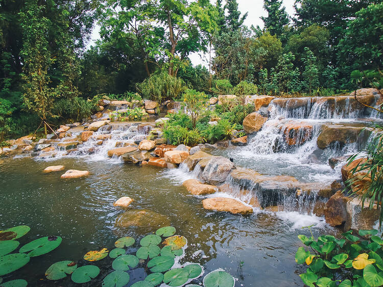 Gardens by the Bay