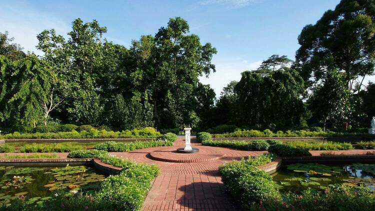 Singapore Botanic Gardens