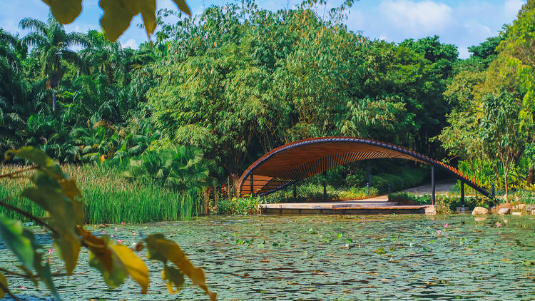 The most beautiful public parks in Singapore