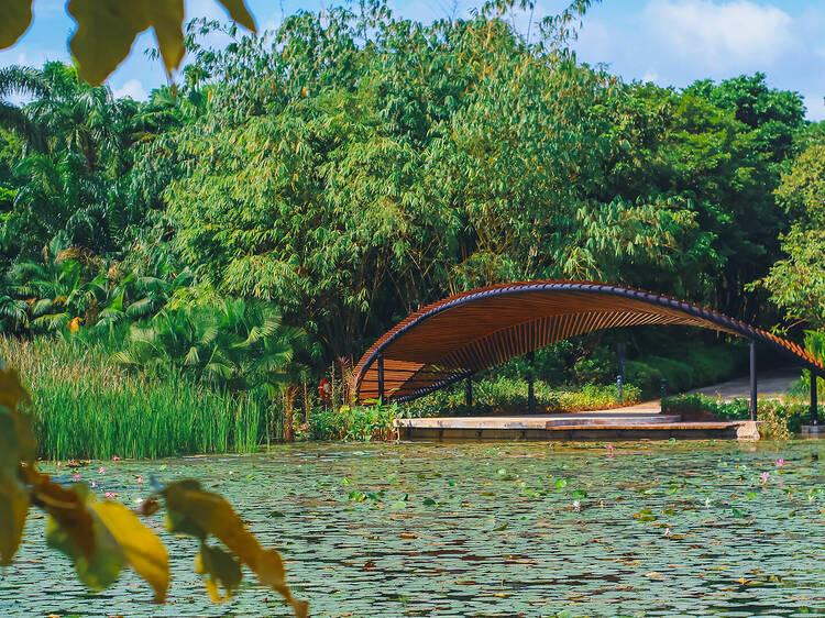 The most beautiful public parks in Singapore