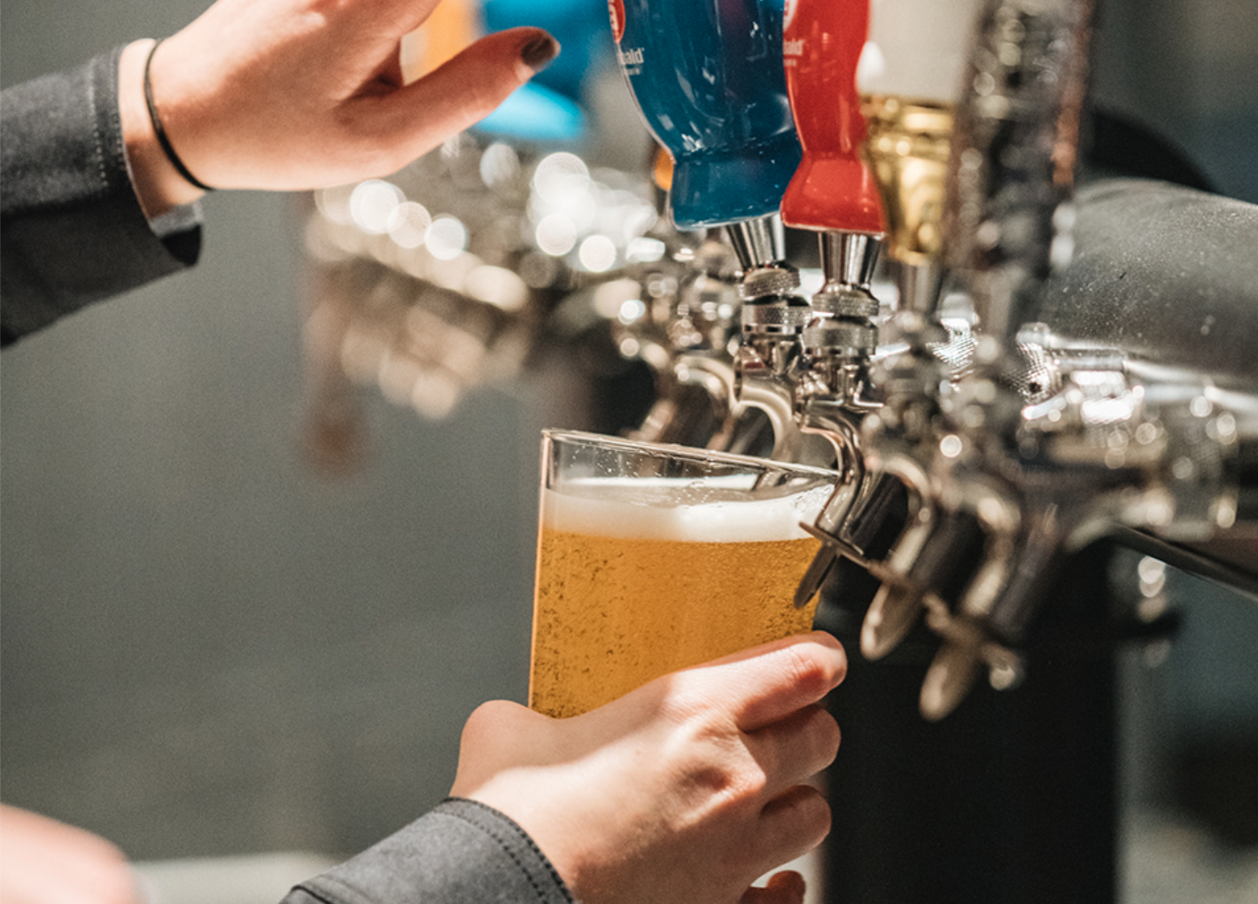 Mircobrews Taste the newest microbrews on spotlight at the Market!