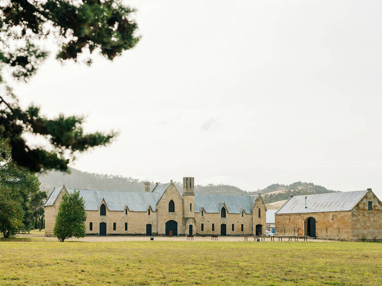 Lark Distillery