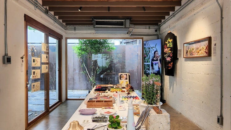Colors of Flower Exhibition