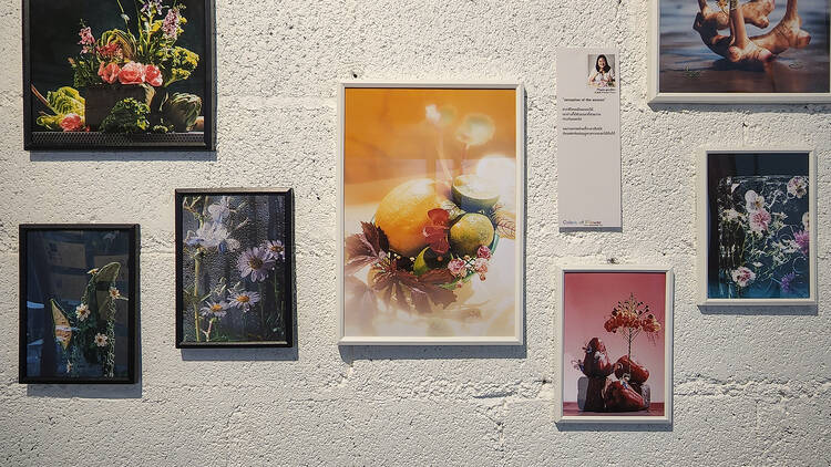 Colors of Flower Exhibition