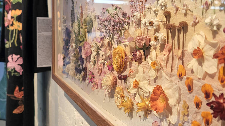 Colors of Flower Exhibition
