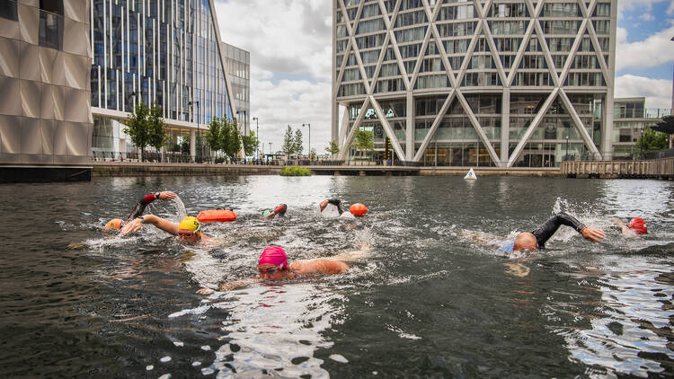 Canary Wharf swimmers 
