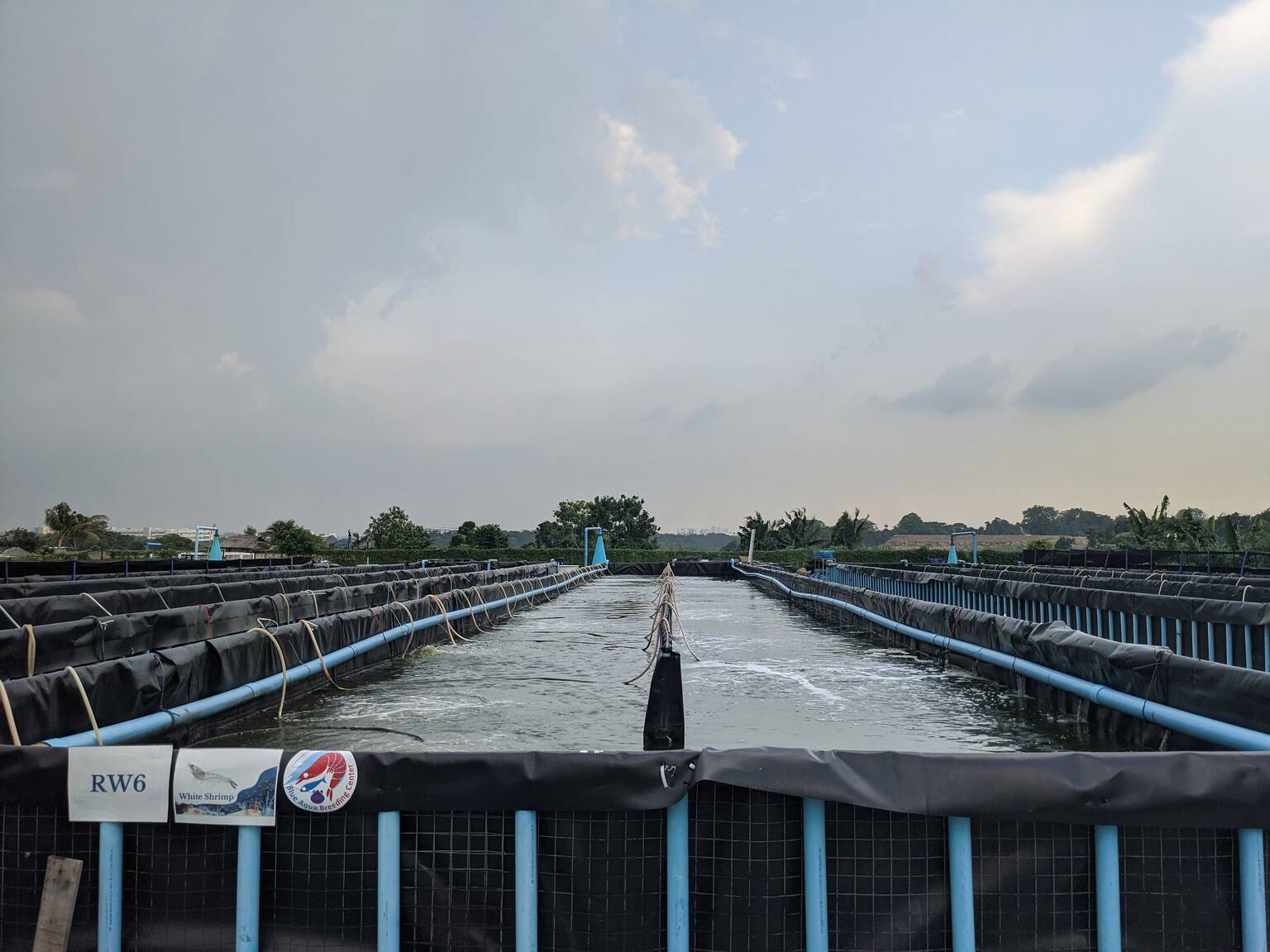 10 Best Farms in Singapore To Visit