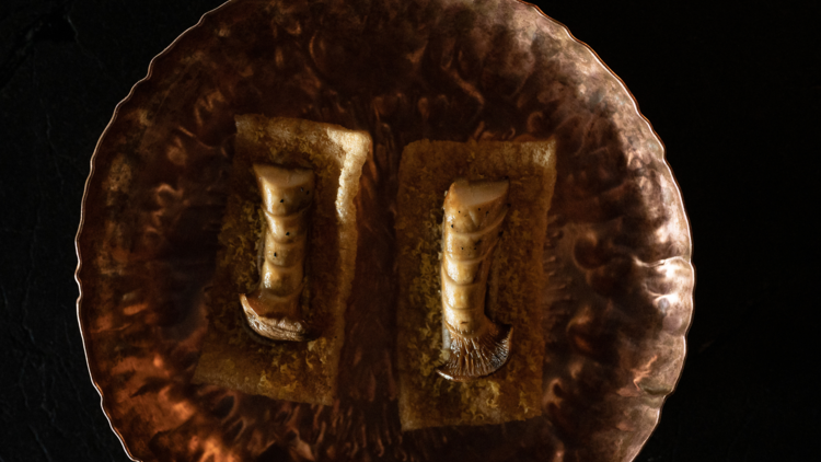 Mushrooms on a bronze platter