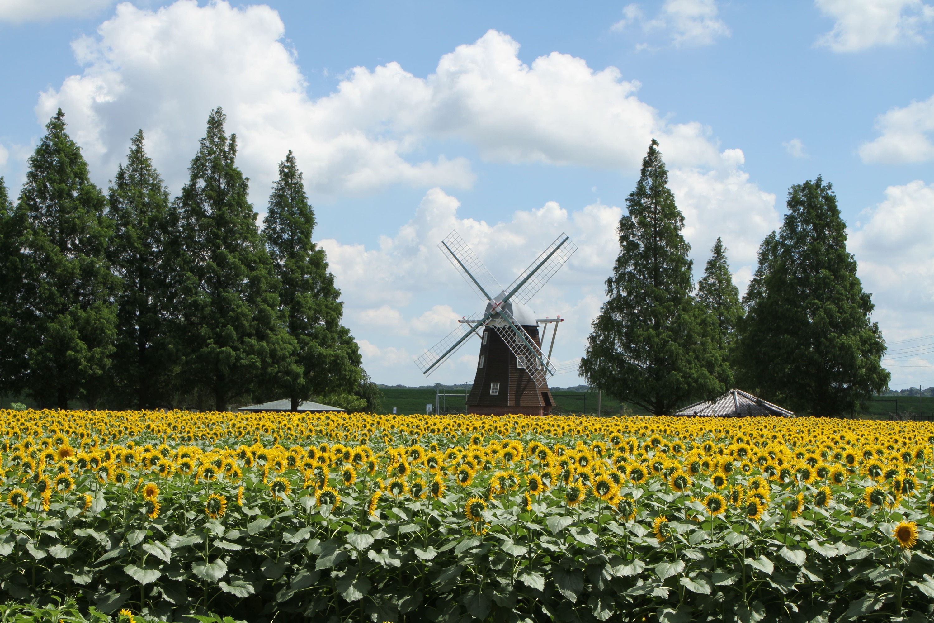 Akebonoyama Agricultural Park