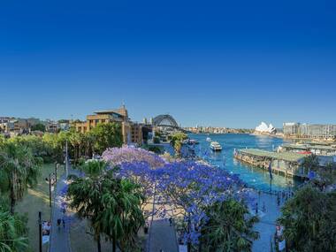 The best things to do in Sydney