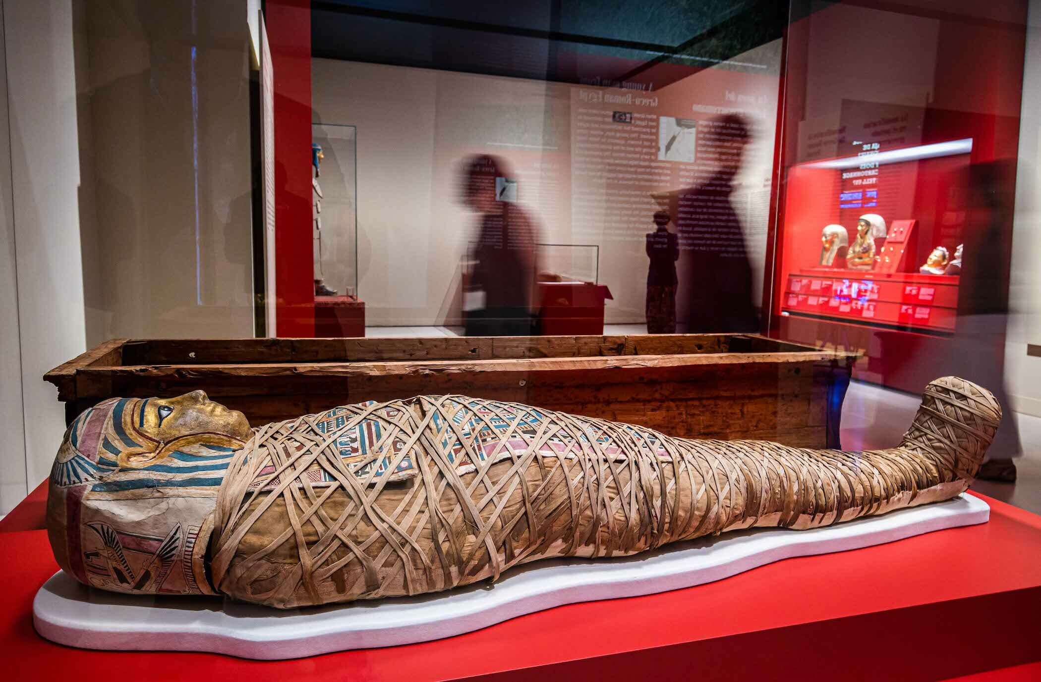 Momias de Egipto. Redescubriendo seis vidas