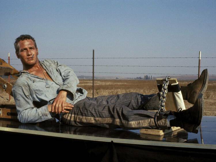 Cool Hand Luke (1957)