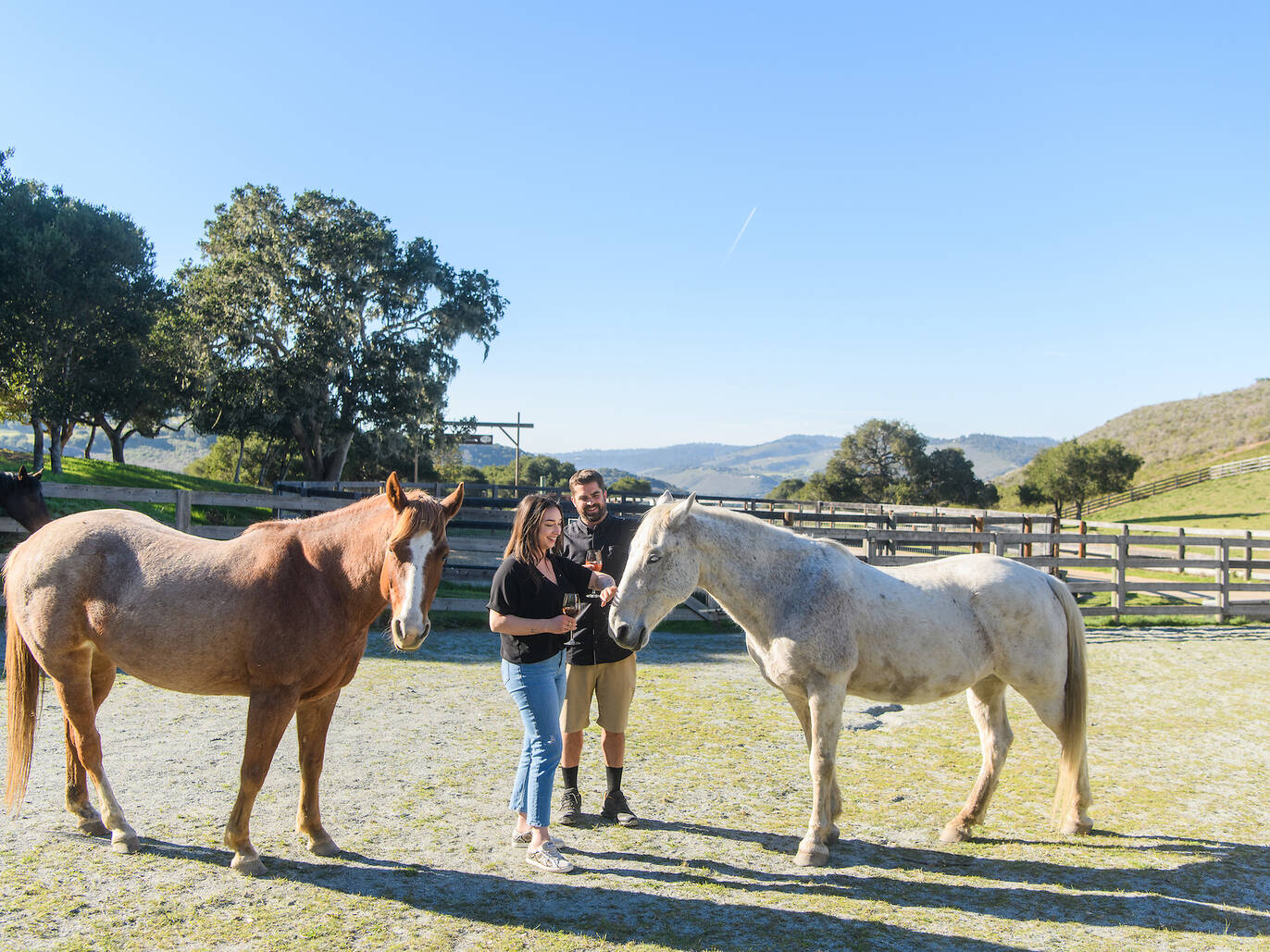 6 Best Hotels in Carmel for 2023 Best Places to Stay in Carmel