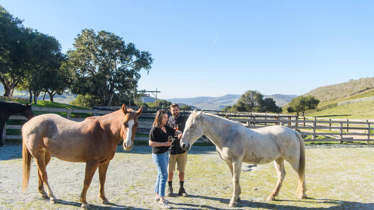 Carmel Valley Ranch