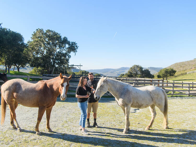 Carmel Valley Ranch