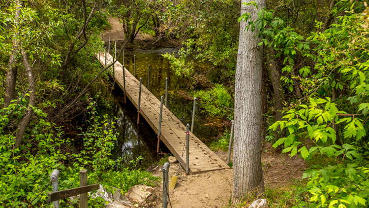 Hike In Garland Ranch Regional Park 