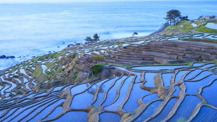 Shiroyone Senmaida Rice Terraces, Ishikawa