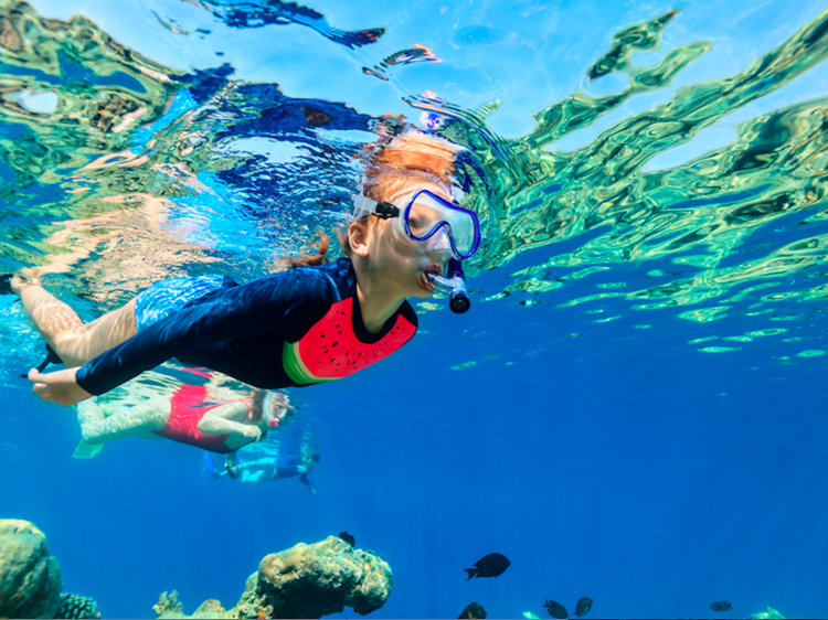 Snorkelling