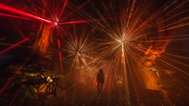 This enchanting journey of light in the Adelaide Botanic Gardens