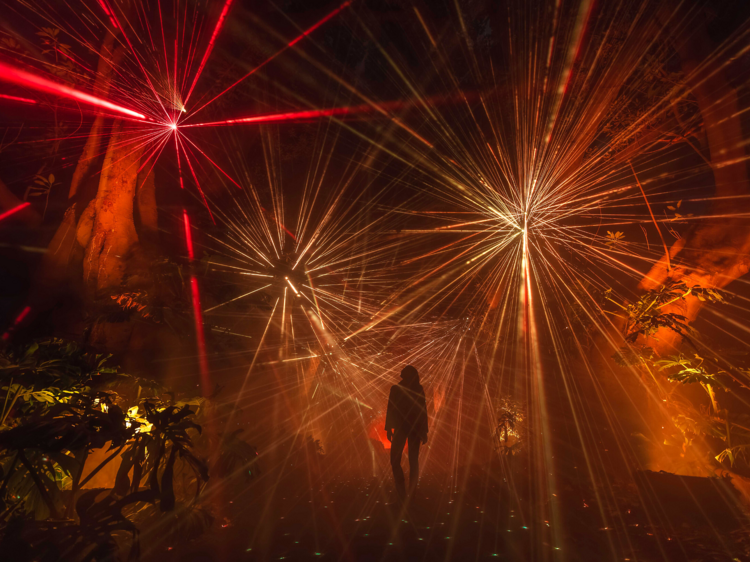 This enchanting journey of light in the Adelaide Botanic Gardens