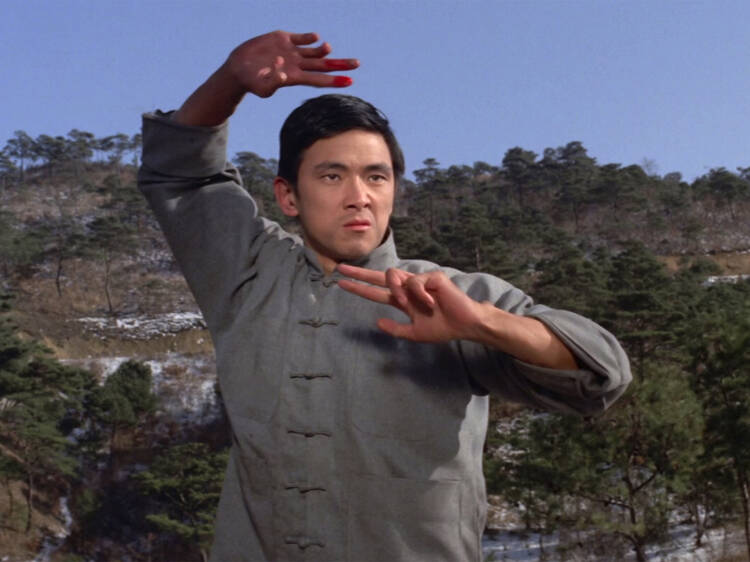 The 25 best martial-arts movies of all time