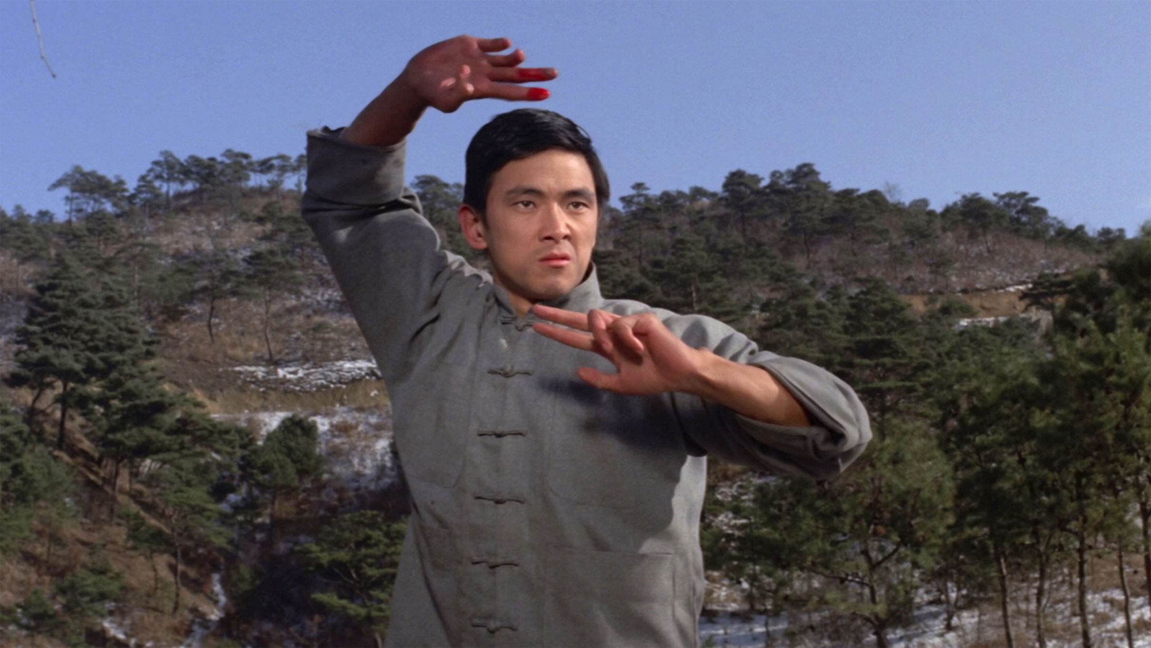 Best martial arts movies – Reading Eagle