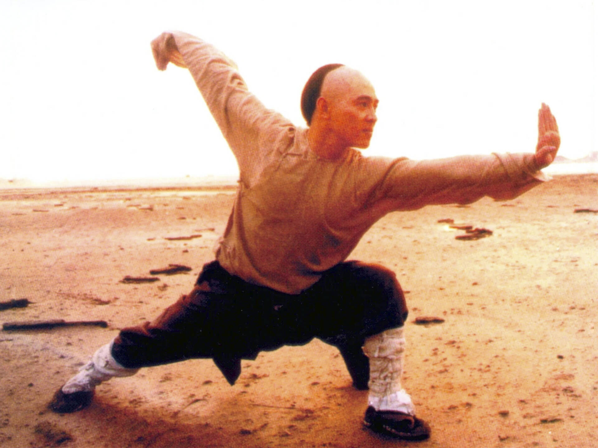 25 best martial-arts movies of all time, including kung fu films
