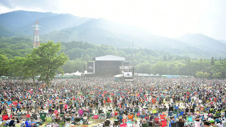 Party at a music festival