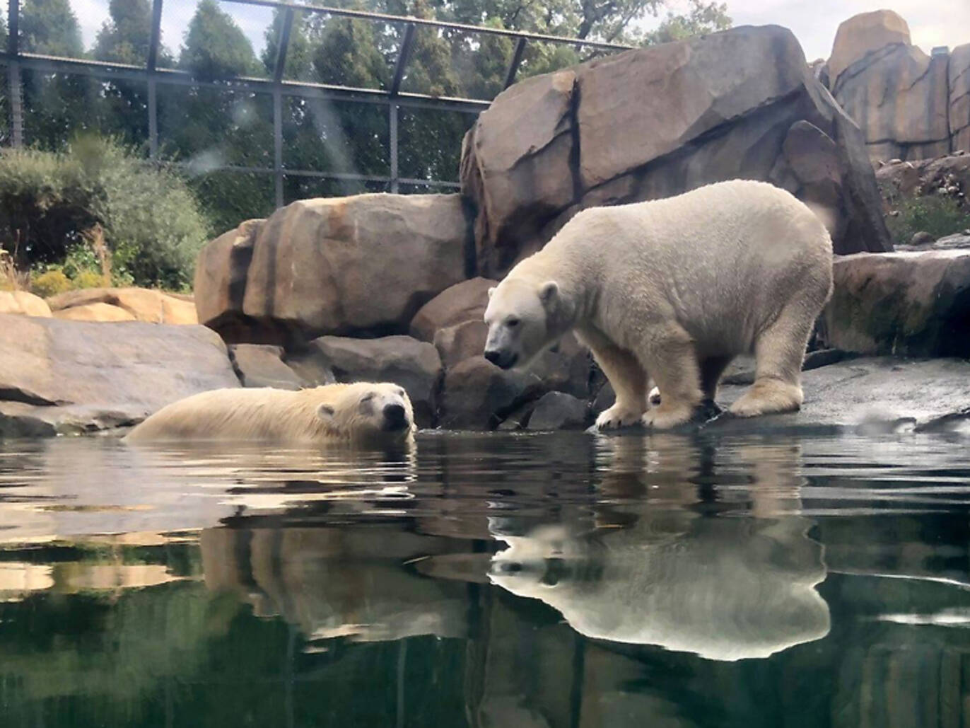 28 Best Zoos in the US For Every Kind of Wildlife Sighting