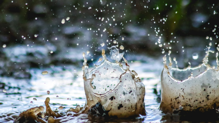 Splashes of rain water in a muddy puddle