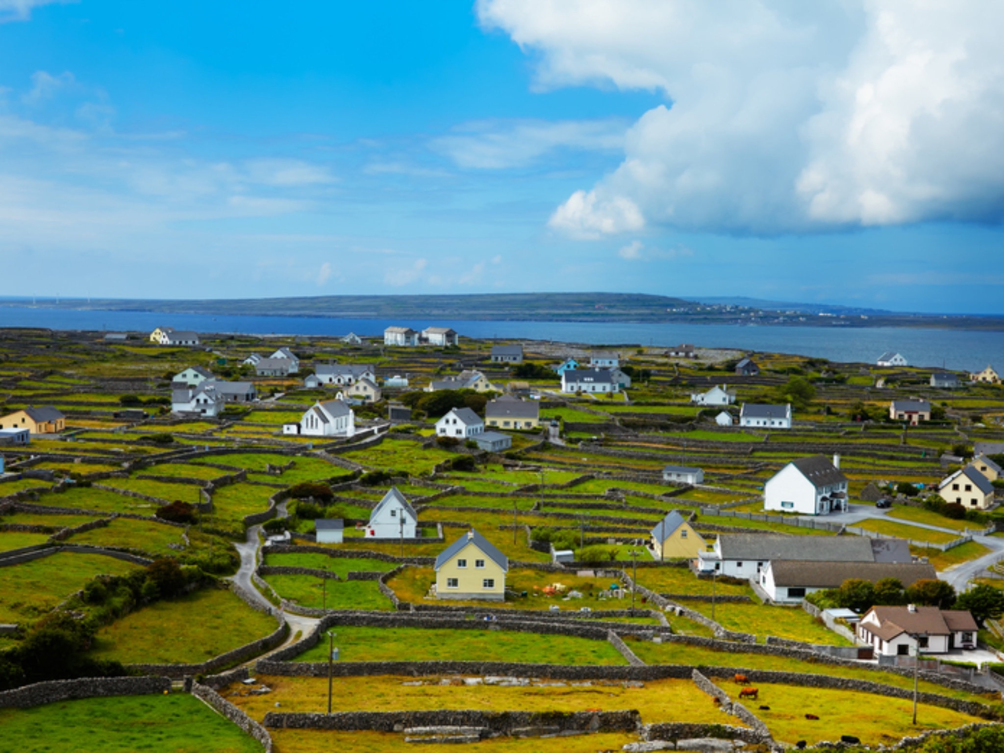 Photo of Vive en Inis Meáin gratis durante un año