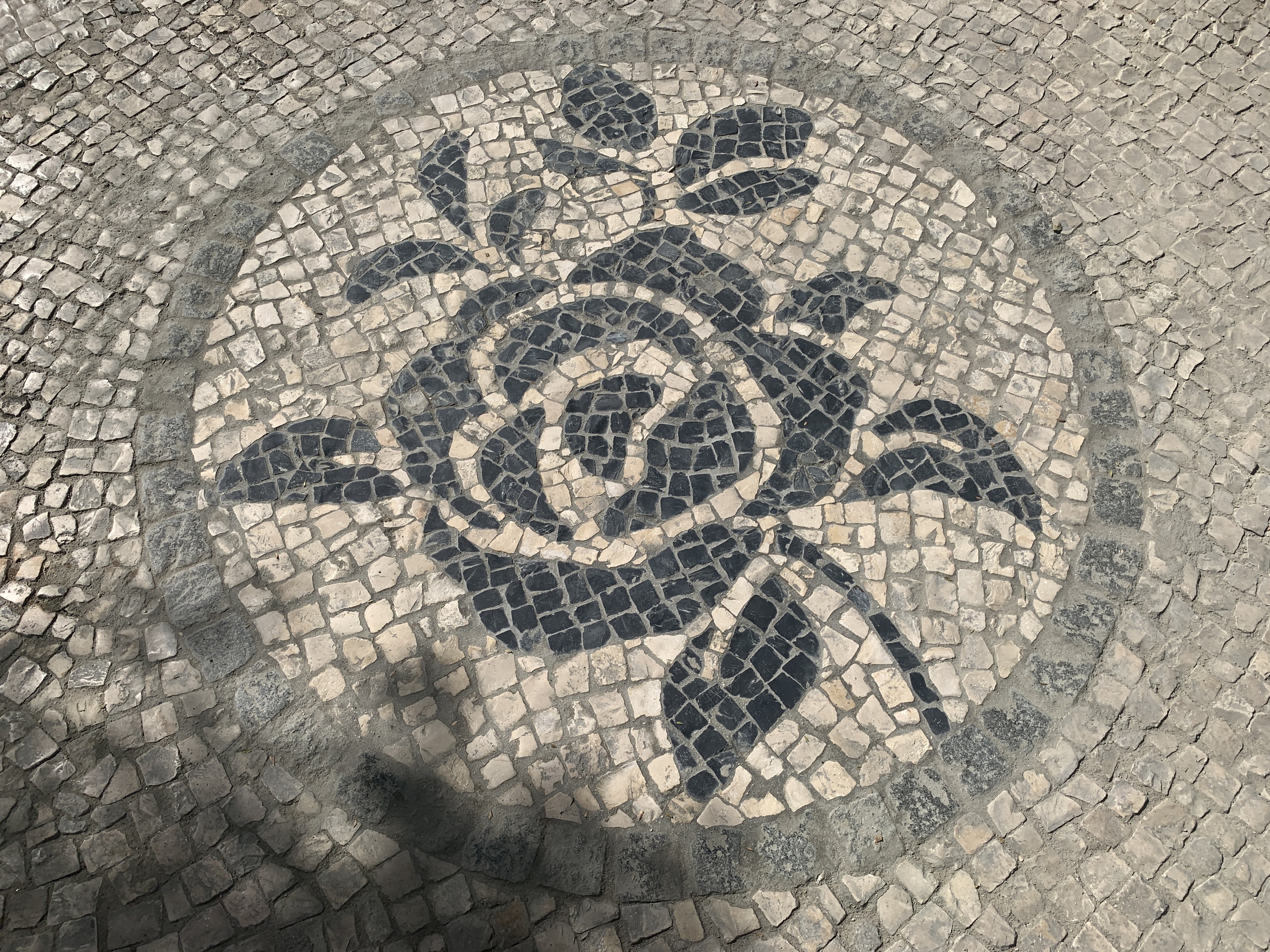 Jardim Constantino