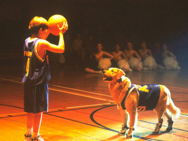 Air Bud (1997)