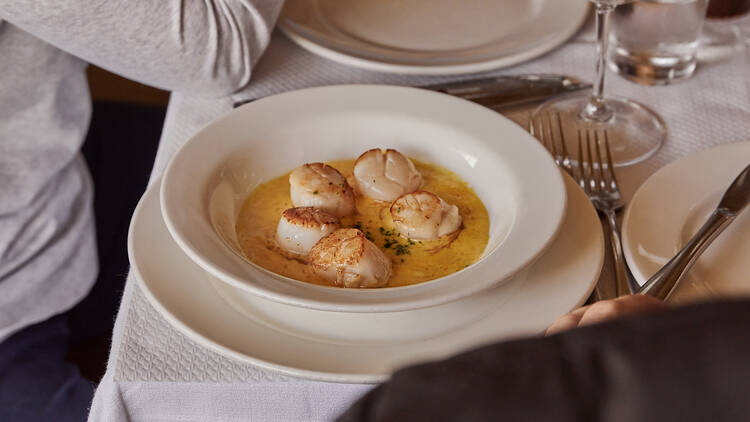 A dish of scallops in a saffron-coloured, buttery sauce.