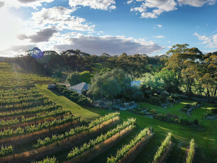 The 13 best Clare Valley wineries