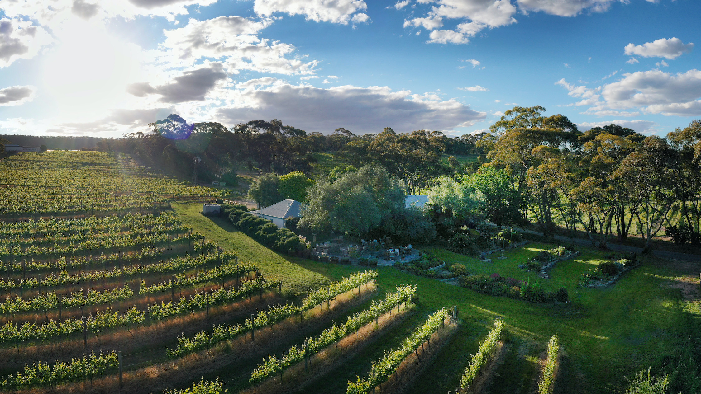 The 13 best wineries in the Clare Valley