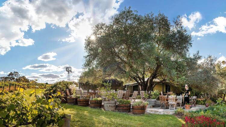 The verandan at the Skillogalee restaurant is lined with wine barrels blooming with plants 