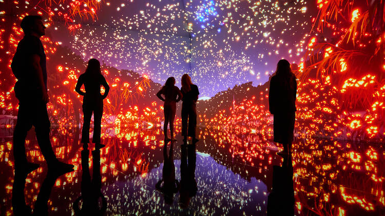 A small crowd of people look at a huge digital screen of stars and red glowing bushland. It's reflected in the shiny floor of the gallery.