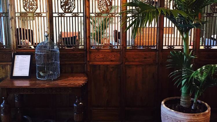 A potted palm sits in the foyer of Shut the Gate winery