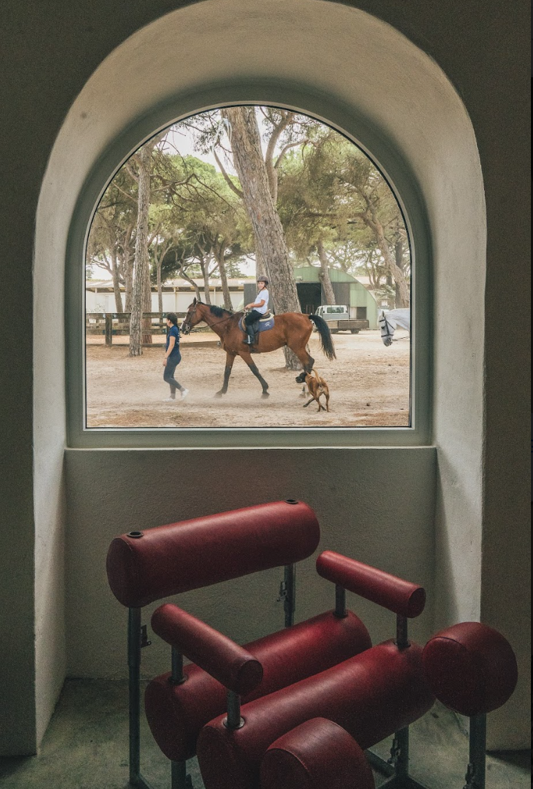 Mameluca, atelier, galeria, Cascais, Quinta da Marinha