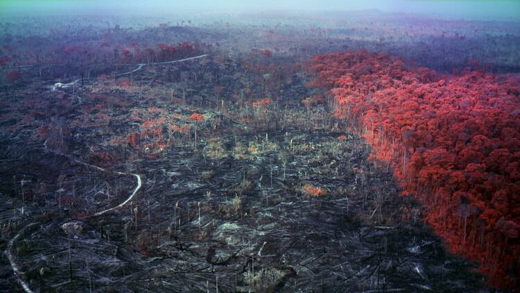 Still from Broken Spectre, 2022, five channel 4K video with 20.4 surround sound. Courtesy of the artist, Jack Shainman Gallery, New York and  carlier | gebauer, Berlin/Madrid © Richard Mosse