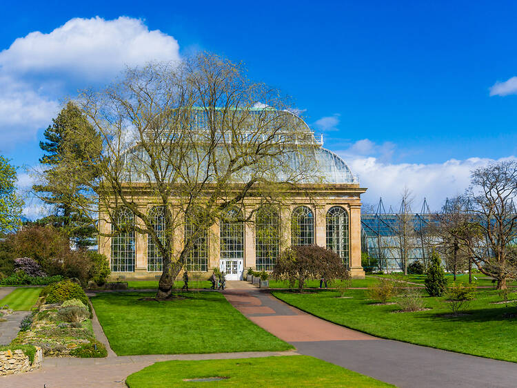 Royal Botanic Garden Edinburgh