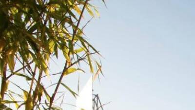 Loews Hollywood Hotel Loews Hollywood Hotel