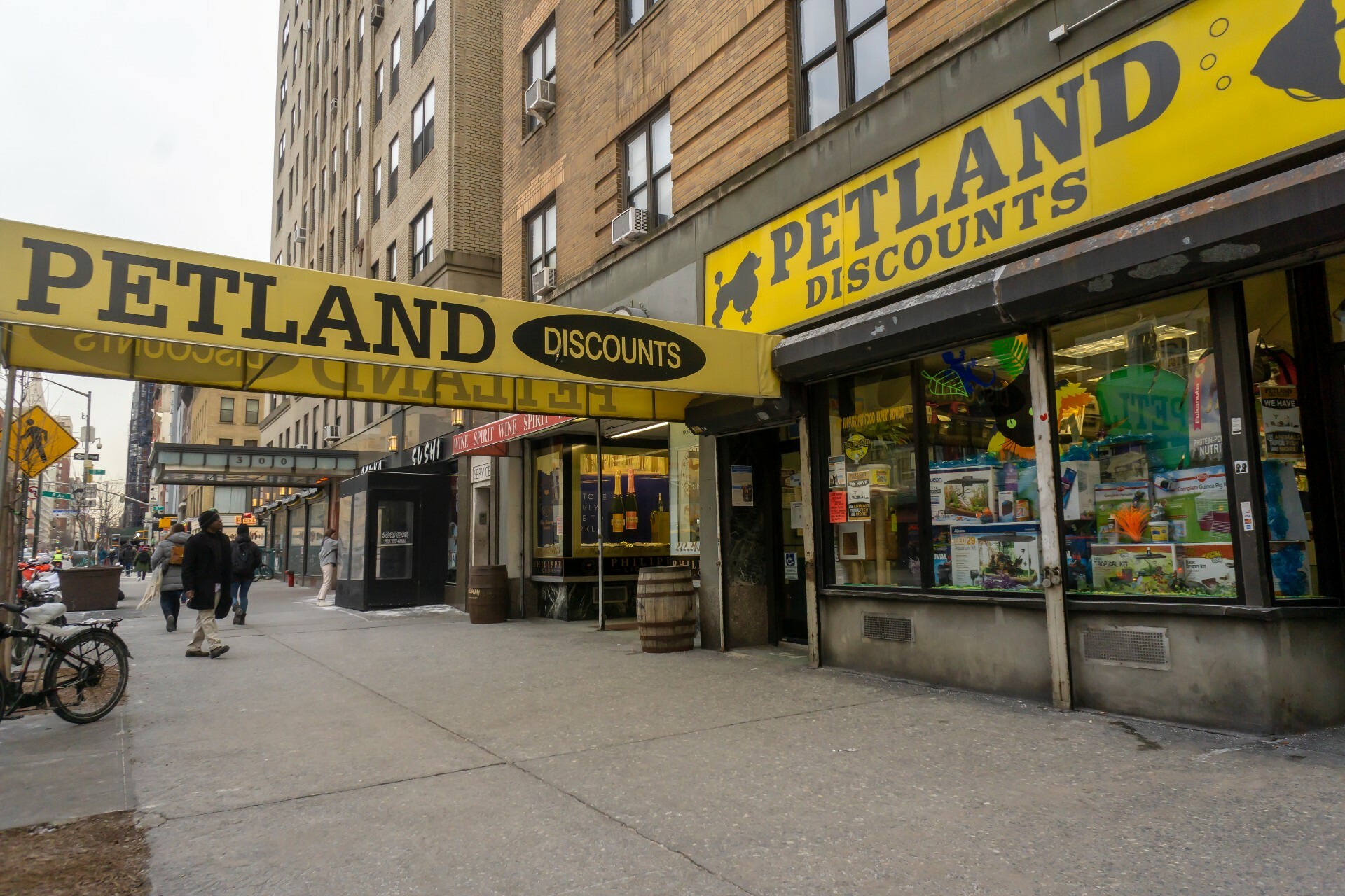 Petland manhattan shop