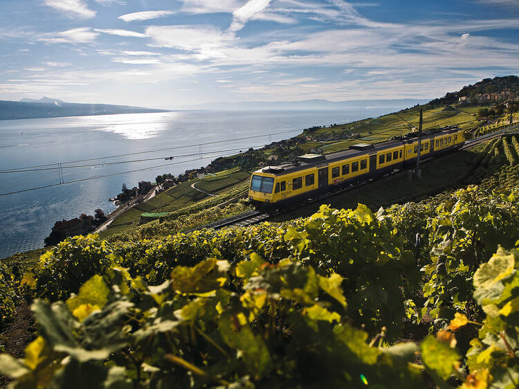 4. Public transport opens up wine tourism