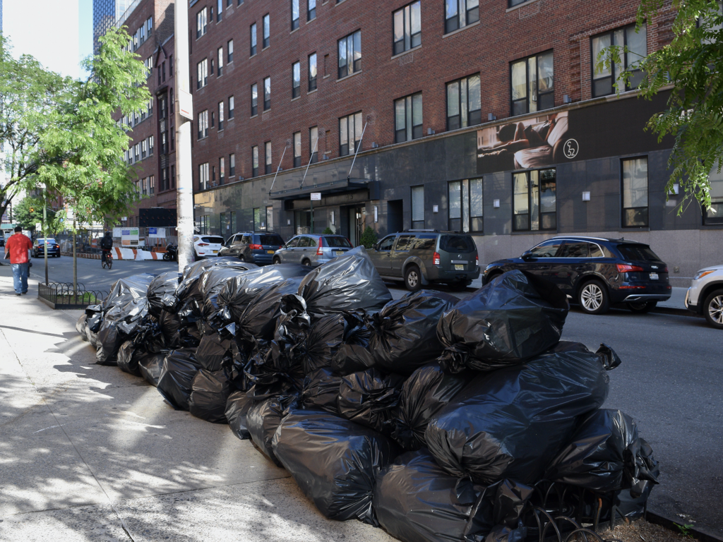 Time Out New York New York Events and Things To Do All Year