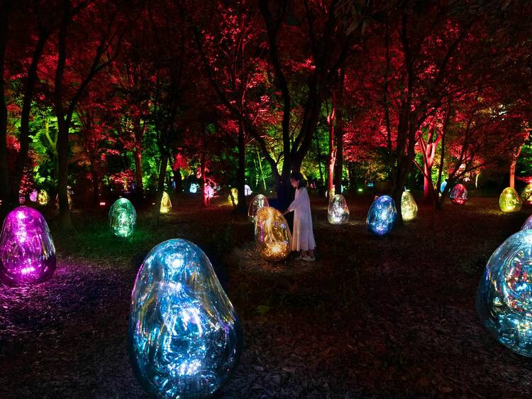 teamLab Botanical Garden Osaka, Osaka